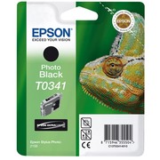 Buy Epson Chameleon T0341 Photo Black Cartridge from Storeforlife